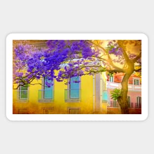 jacaranda Sticker